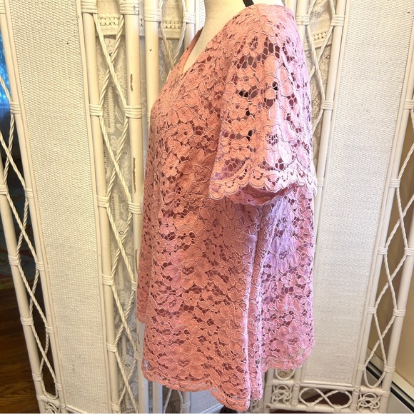 Talbots Top Dusty Rose Lace Blouse Short Sleeve Lined Scallop Hem Plus size 18W - Picture 4 of 15